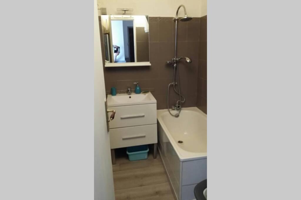 Beau T2 Climatise Avec Terrasse 100M Plage Apartman Saint-Cyprien Kültér fotó